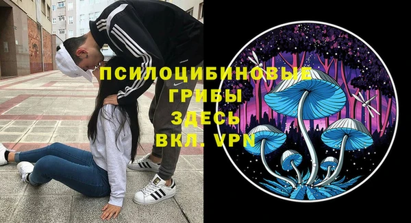 мяу мяу мука Аркадак