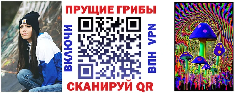 наркота  Каменск-Уральский  Псилоцибиновые грибы ЛСД 